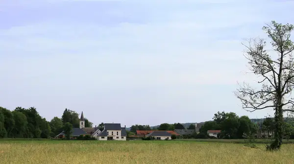 Achat Monte Escalier Monte escalier Allier