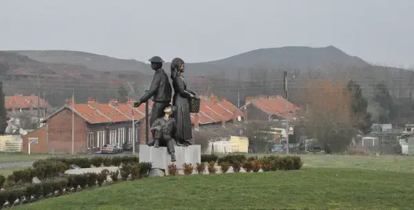 Achat Monte Escalier Monte escalier Auchel