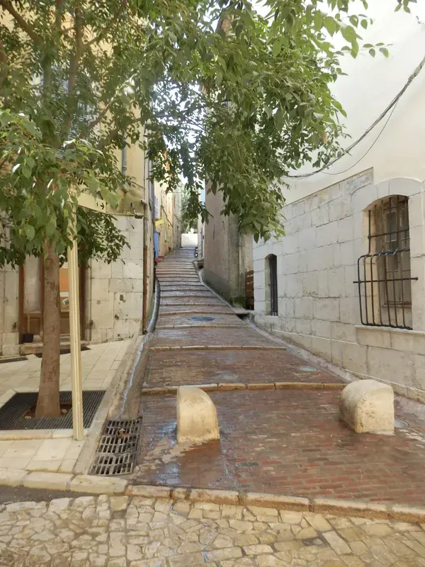 Achat Monte Escalier Monte escalier Brignoles