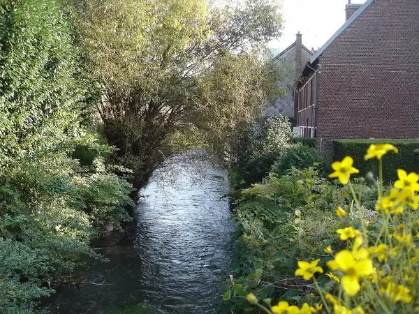 Achat Monte Escalier Monte escalier Déville-lès-Rouen