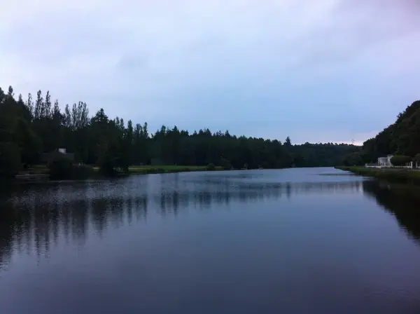 Achat Monte Escalier Monte escalier Inzinzac-Lochrist