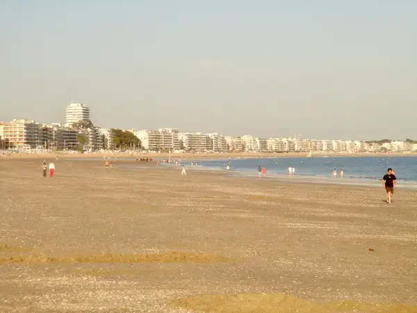 Achat Monte Escalier Monte escalier La Baule-Escoublac