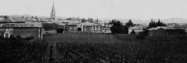 Achat Monte Escalier Monte escalier Limas