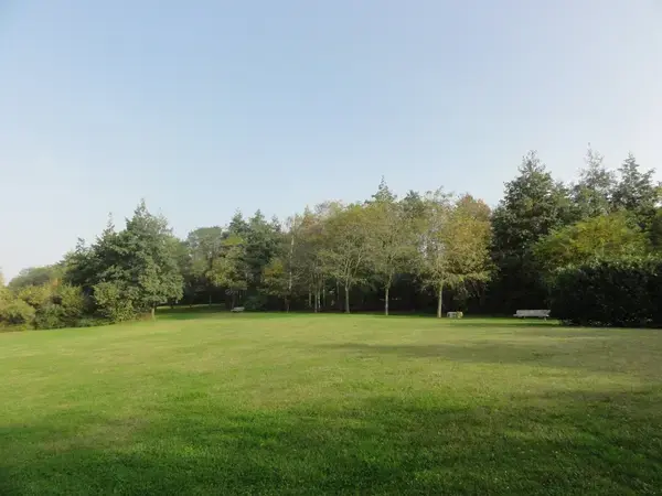 Achat Monte Escalier Monte escalier Montigny-en-Gohelle