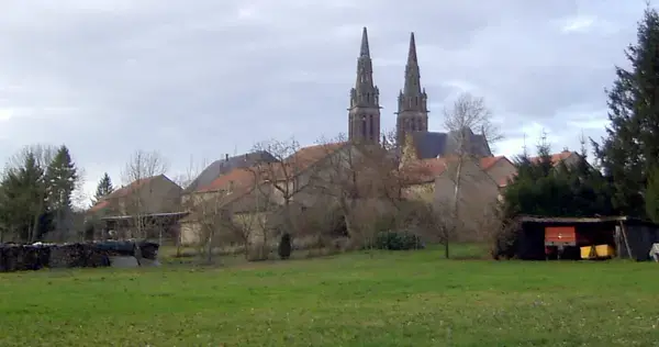 Achat Monte Escalier Monte escalier Munster