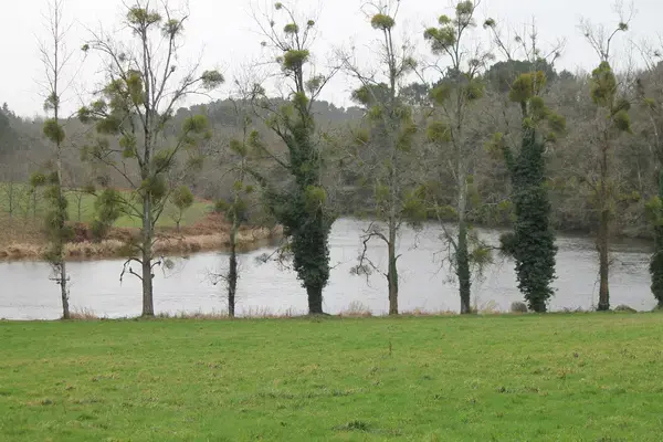 Achat Monte Escalier Monte escalier Muzillac