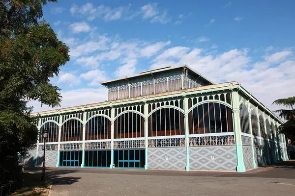 Achat Monte Escalier Monte escalier Nogent-sur-Marne