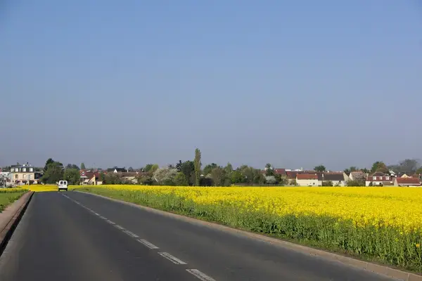 Achat Monte Escalier Monte escalier Noiseau