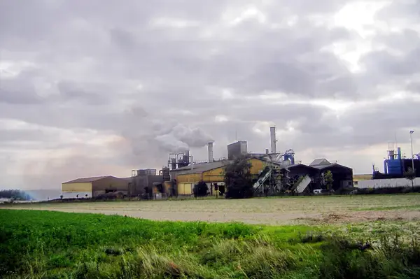 Achat Monte Escalier Monte escalier Ormes