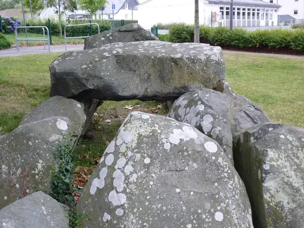 Achat Monte Escalier Monte escalier Ploufragan