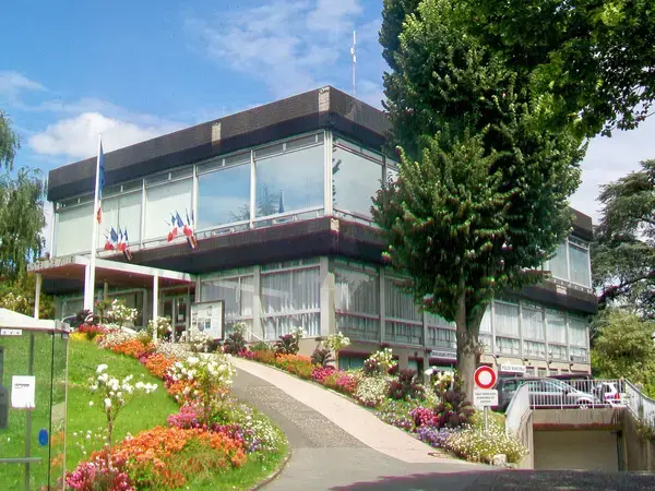 Achat Monte Escalier Monte escalier Saint-Brice-sous-Forêt