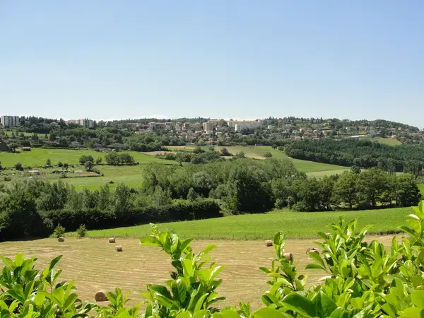 Achat Monte Escalier Monte escalier Saint-Genest-Lerpt
