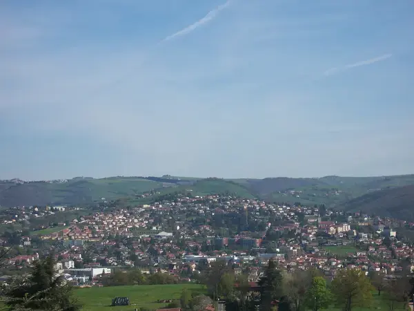 Achat Monte Escalier Monte escalier Sorbiers