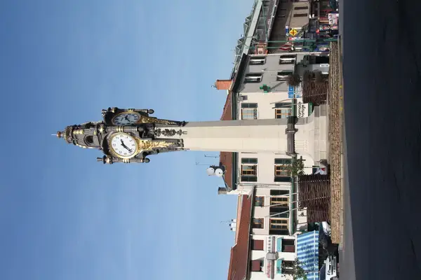 Achat Monte Escalier Monte escalier Tassin-la-Demi-Lune