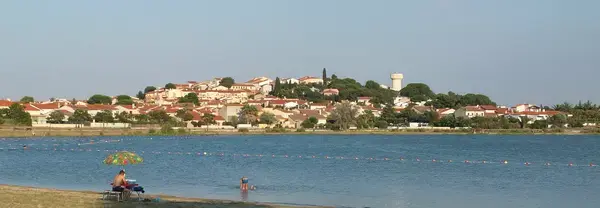 Achat Monte Escalier Monte escalier Villeneuve-de-la-Raho