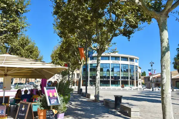Achat Monte Escalier Monte escalier Villeneuve-lès-Béziers